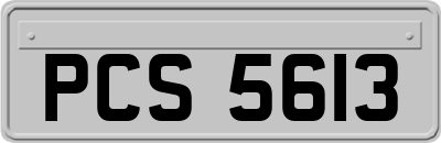 PCS5613