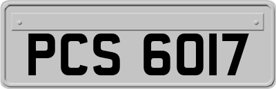 PCS6017