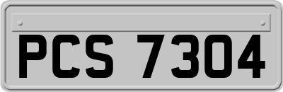PCS7304