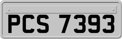 PCS7393