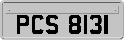 PCS8131