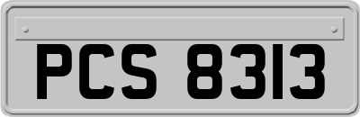 PCS8313