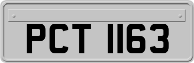 PCT1163