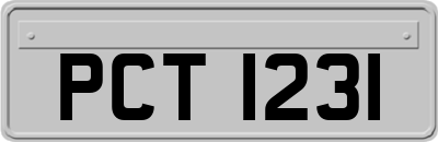 PCT1231