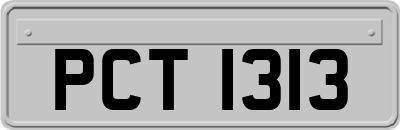 PCT1313