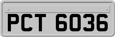 PCT6036