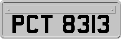 PCT8313