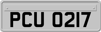 PCU0217