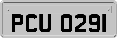 PCU0291