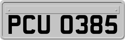 PCU0385