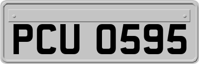 PCU0595