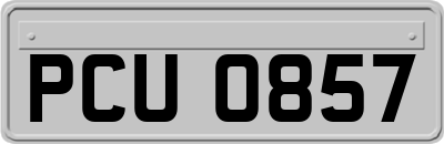 PCU0857