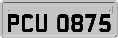 PCU0875