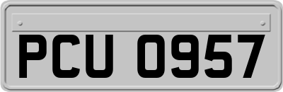 PCU0957