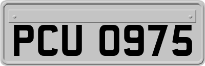 PCU0975
