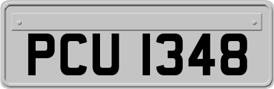 PCU1348