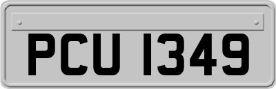 PCU1349