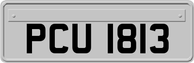 PCU1813
