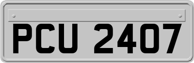 PCU2407
