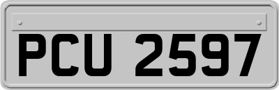 PCU2597