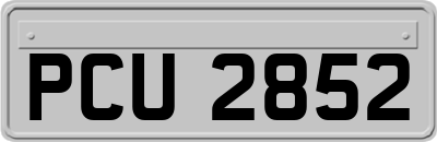 PCU2852