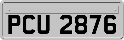 PCU2876