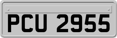 PCU2955