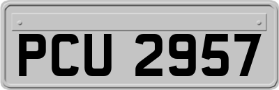 PCU2957