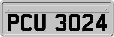 PCU3024