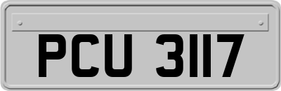 PCU3117