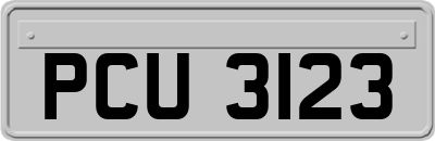 PCU3123