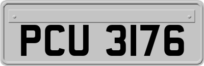 PCU3176