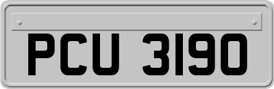 PCU3190