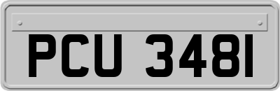 PCU3481