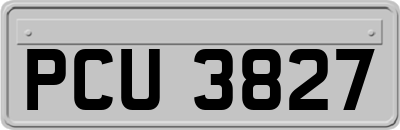 PCU3827