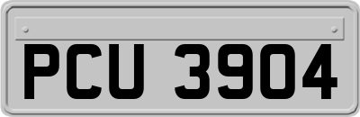 PCU3904