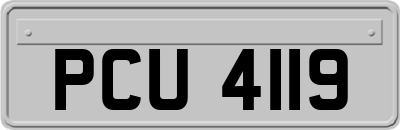 PCU4119
