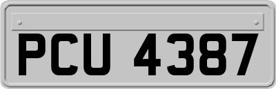 PCU4387