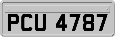 PCU4787