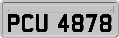 PCU4878