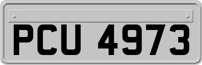 PCU4973