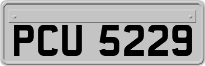PCU5229