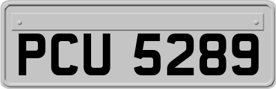 PCU5289
