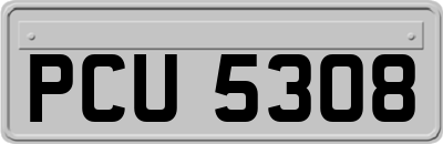 PCU5308