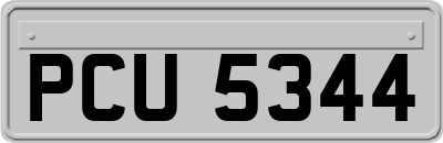 PCU5344
