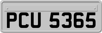 PCU5365