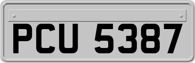 PCU5387