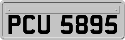 PCU5895