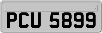 PCU5899