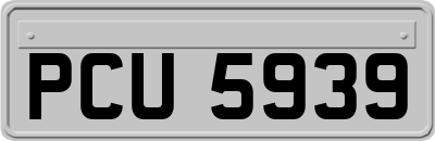 PCU5939